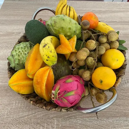 Ocean Sunset Willa San Miguel de Abona